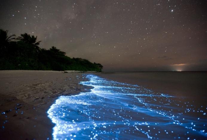 ¿Conoces el turismo bioluminiscente?