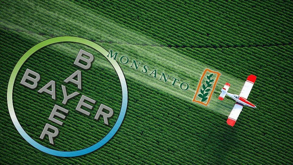 Cofece condiciona fusión de Bayer y Monsanto