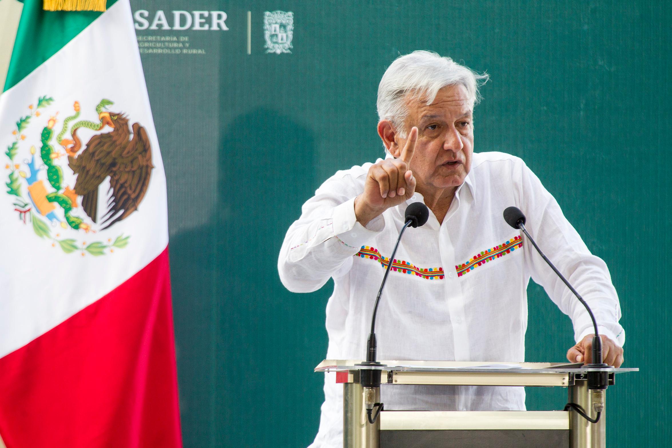 En marzo, licitación para Tren Maya: López Obrador