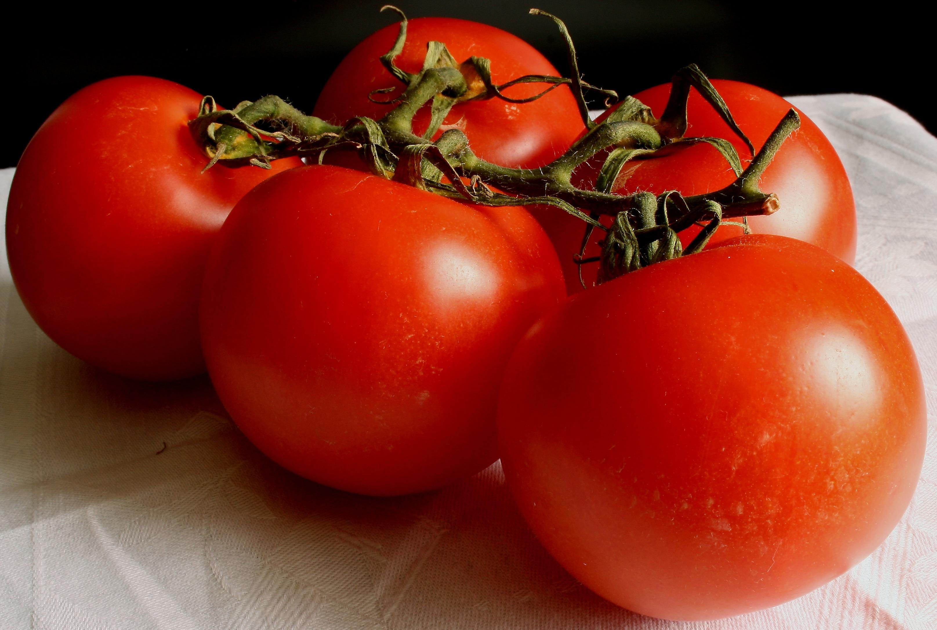 Senadoras de EU urgen cese de investigación contra tomate mexicano
