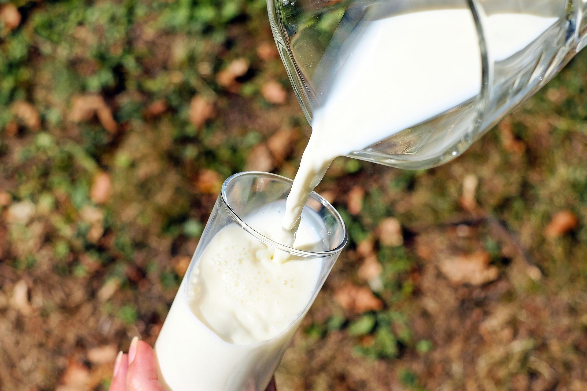 Recibe Senado iniciativa para regular etiquetado de productos lácteos