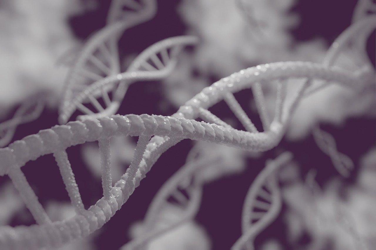 La edición genética es el futuro... y ya puedes invertir en su tecnología
