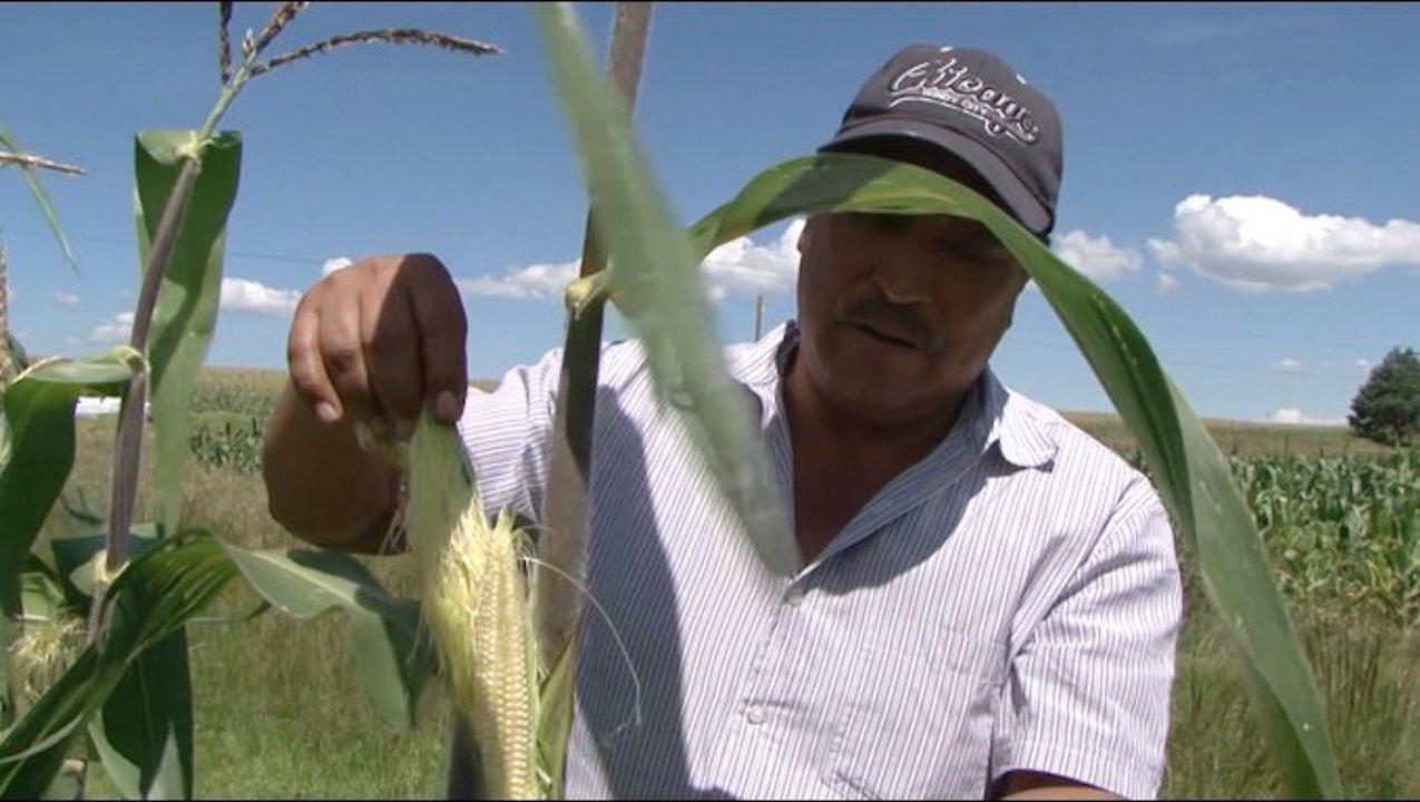 Producción agrícola de México / @Agricultura_mex, agricultores