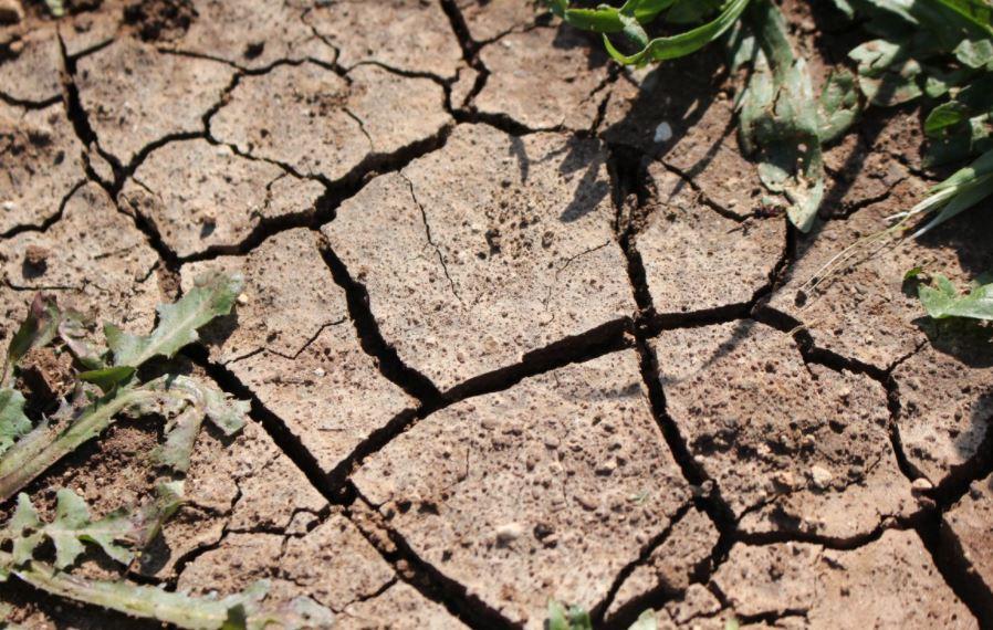 Sequía amainó ligeramente en mayo: Conagua