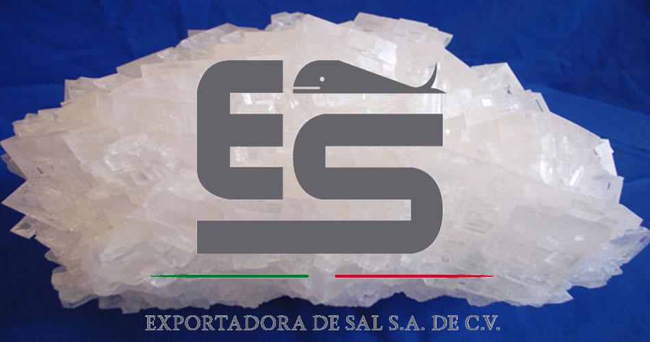 Exportadora de Sal SA de CV / https://www.gob.mx/essa